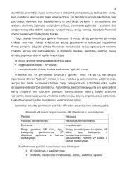 Vertybinių popierių teorija 13 puslapis