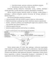 Vertybinių popierių teorija 14 puslapis
