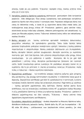 Vertybinių popierių teorija 6 puslapis