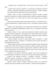 Vertybinių popierių teorija 8 puslapis