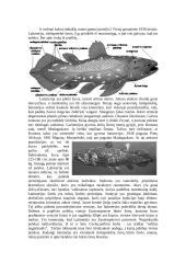 Būtybės latimerijos 3 puslapis