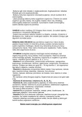 Maisto produktai ir mityba 3 puslapis