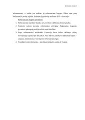 Renesansas ir Reformacija Lietuvoje 5 puslapis