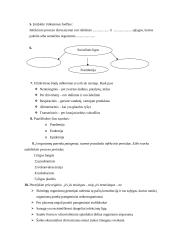 Infekcinį procesą nulemiantieji veiksniai 2 puslapis