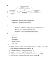 Infekcinį procesą nulemiantieji veiksniai 4 puslapis