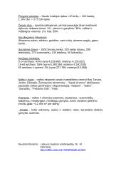 Saudo Arabijos Karalystė 3 puslapis