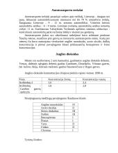 Tarša Šiaulių rajone 3 puslapis