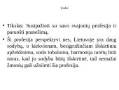 Mano svajonių profesija - kraštovaizdžio architektūra 3 puslapis