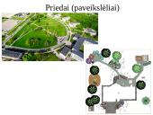 Mano svajonių profesija - kraštovaizdžio architektūra 7 puslapis
