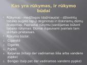 Rūkymas - pavojingas malonumas 3 puslapis