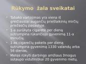 Rūkymas - pavojingas malonumas 7 puslapis