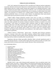 Drabužių parduotuvės verslo planas 2 puslapis