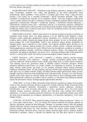 Drabužių parduotuvės verslo planas 3 puslapis