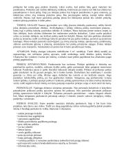 Drabužių parduotuvės verslo planas 4 puslapis