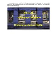 Drabužių parduotuvės verslo planas 5 puslapis