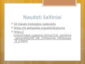 Gyvenimas dykumoje skaidrės 11 puslapis