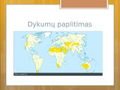 Gyvenimas dykumoje skaidrės 4 puslapis