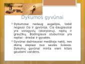 Gyvenimas dykumoje skaidrės 9 puslapis