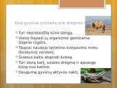 Gyvenimas dykumoje skaidrės 10 puslapis