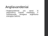 Angliavandenių apykaita ir jos reguliavimas 3 puslapis