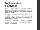 Angliavandenių apykaita ir jos reguliavimas 6 puslapis