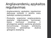 Angliavandenių apykaita ir jos reguliavimas 7 puslapis