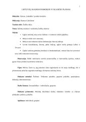 Lietuvių kalbos pamokos planas IV klasei