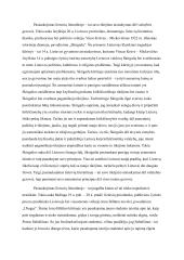 Pasiaukojimas lietuvių literatūroje 2 puslapis
