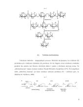 Celiuliozę skaidantys mikroorganizmai 8 puslapis