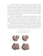 Celiuliozę skaidantys mikroorganizmai 9 puslapis