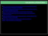 Lotoso šventykla 14 puslapis