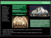 Lotoso šventykla 5 puslapis