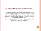 Mūsų Lietuvos kultūros pasiekimai 13 puslapis