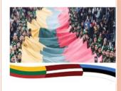 Mūsų Lietuvos kultūros pasiekimai 14 puslapis