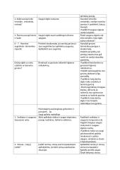 Ilgalaikis Žmogaus saugos planas 5 klasei 2 puslapis