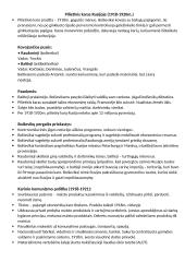 Raudonasis teroras. Pilietinis karas Rusijoje. Pasaulinė revoliucija. Pasaulinė ekonomikos krizė. 2 puslapis