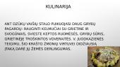 Papročiai, muzika bei kulinarija Dzūkijoje 7 puslapis