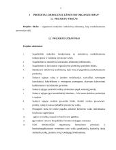 Projektas "Moksleivių užimtumo organizavimas" 3 puslapis