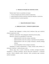 Projektas "Moksleivių užimtumo organizavimas" 5 puslapis