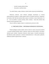 Projektas "Moksleivių užimtumo organizavimas" 9 puslapis