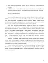 Projektas: Centro, pagyvenusių žmonių laisvalaikio užimtumui, įkūrimas 2 puslapis