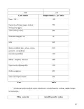 Projektas: Centro, pagyvenusių žmonių laisvalaikio užimtumui, įkūrimas 10 puslapis