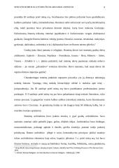 Senovės Romos kultūros šiuolaikiniai aspektai 4 puslapis