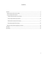 Bendroji Lietuvos skola užsieniui ir jos lyginamasis vertinimas 2 puslapis