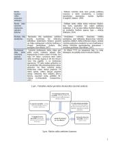 Bendroji Lietuvos skola užsieniui ir jos lyginamasis vertinimas 7 puslapis