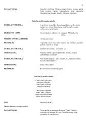 Scenarijus: "Žiurkėno Vido istorijos" 11 puslapis