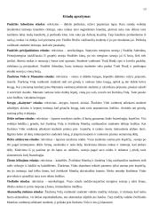 Scenarijus: "Žiurkėno Vido istorijos" 13 puslapis