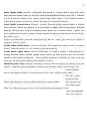 Scenarijus: "Žiurkėno Vido istorijos" 14 puslapis