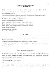 Scenarijus: "Žiurkėno Vido istorijos" 15 puslapis