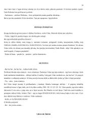 Scenarijus: "Žiurkėno Vido istorijos" 16 puslapis